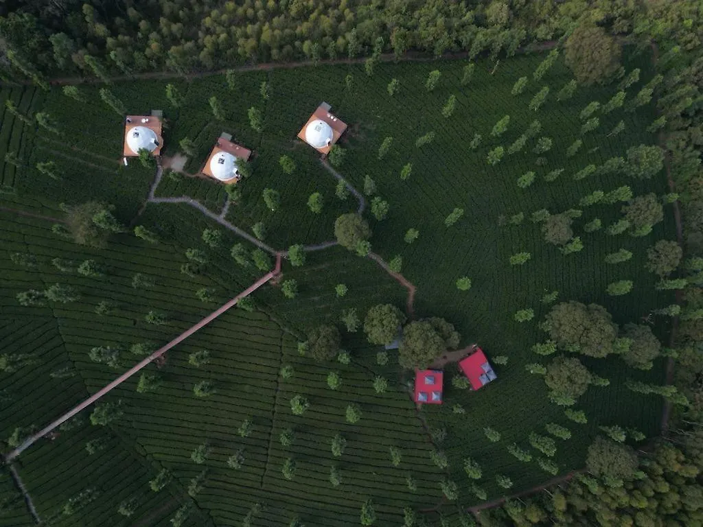 Vythiri Tea Valley I Best Hotel In Wayanad L Hotels In Vythiri Wayanad Resort