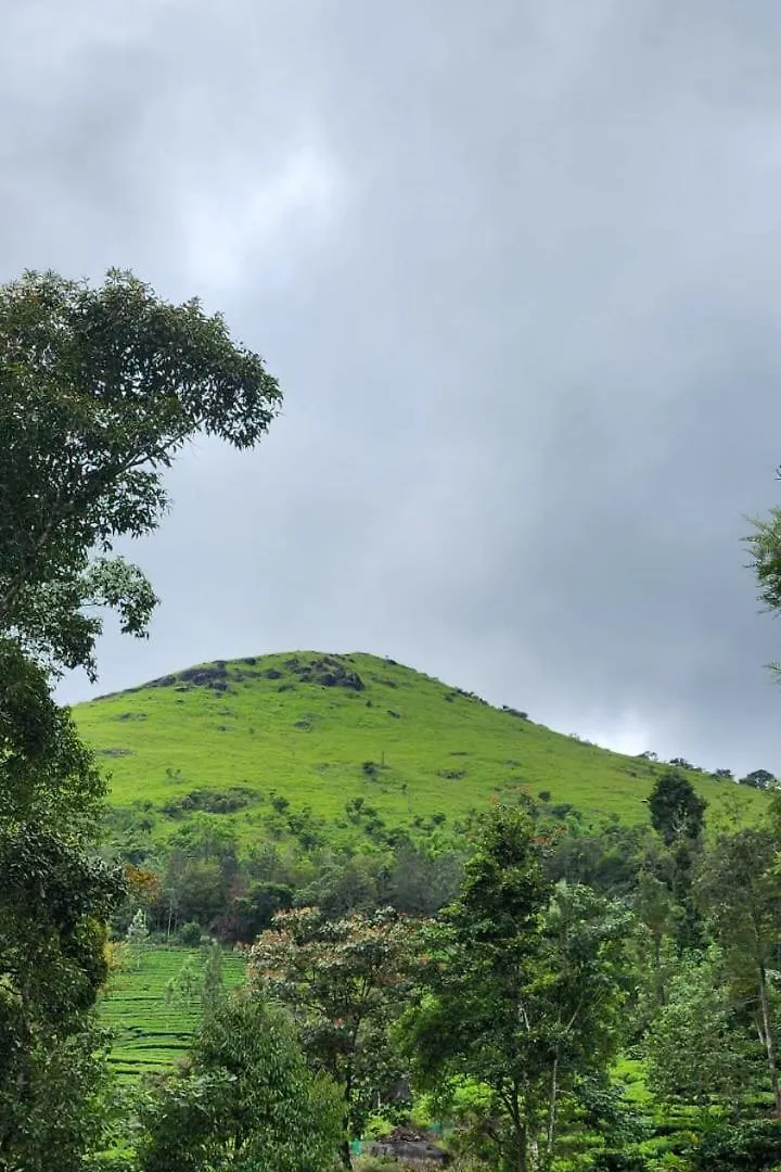 Resort Vythiri Tea Valley I Best Hotel In Wayanad L Hotels In Vythiri Wayanad India