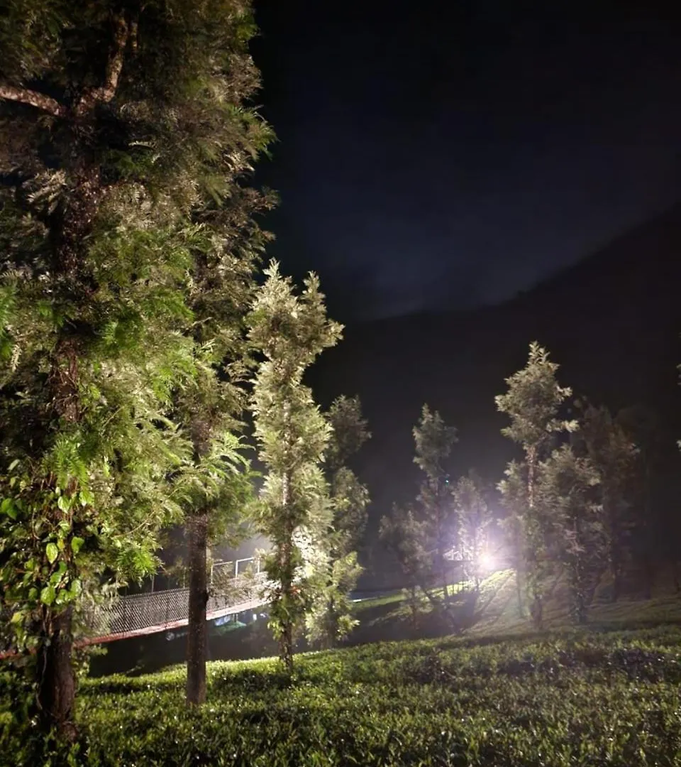 Resort Vythiri Tea Valley I Best Hotel In Wayanad L Hotels In Vythiri Wayanad