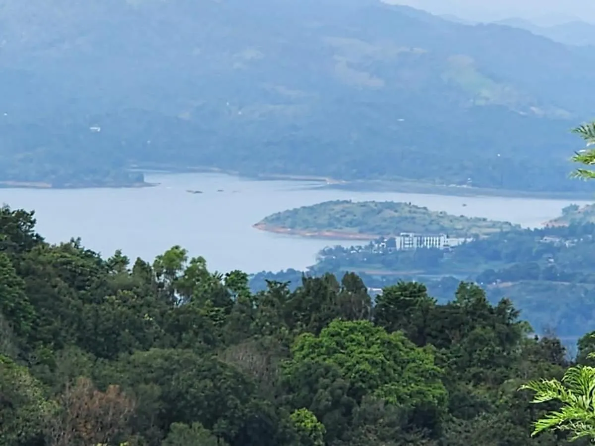 Resort Vythiri Tea Valley I Best Hotel In Wayanad L Hotels In Vythiri Wayanad