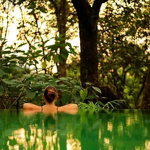 Wayanad Wild - A Cgh Earth Experience Vythiri